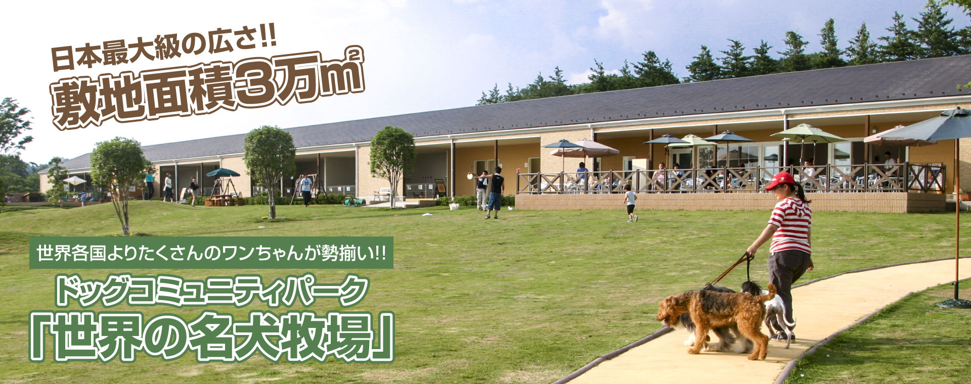 世界の名犬牧場 日本最大級 群馬のドッグラン ドッグカフェならここ