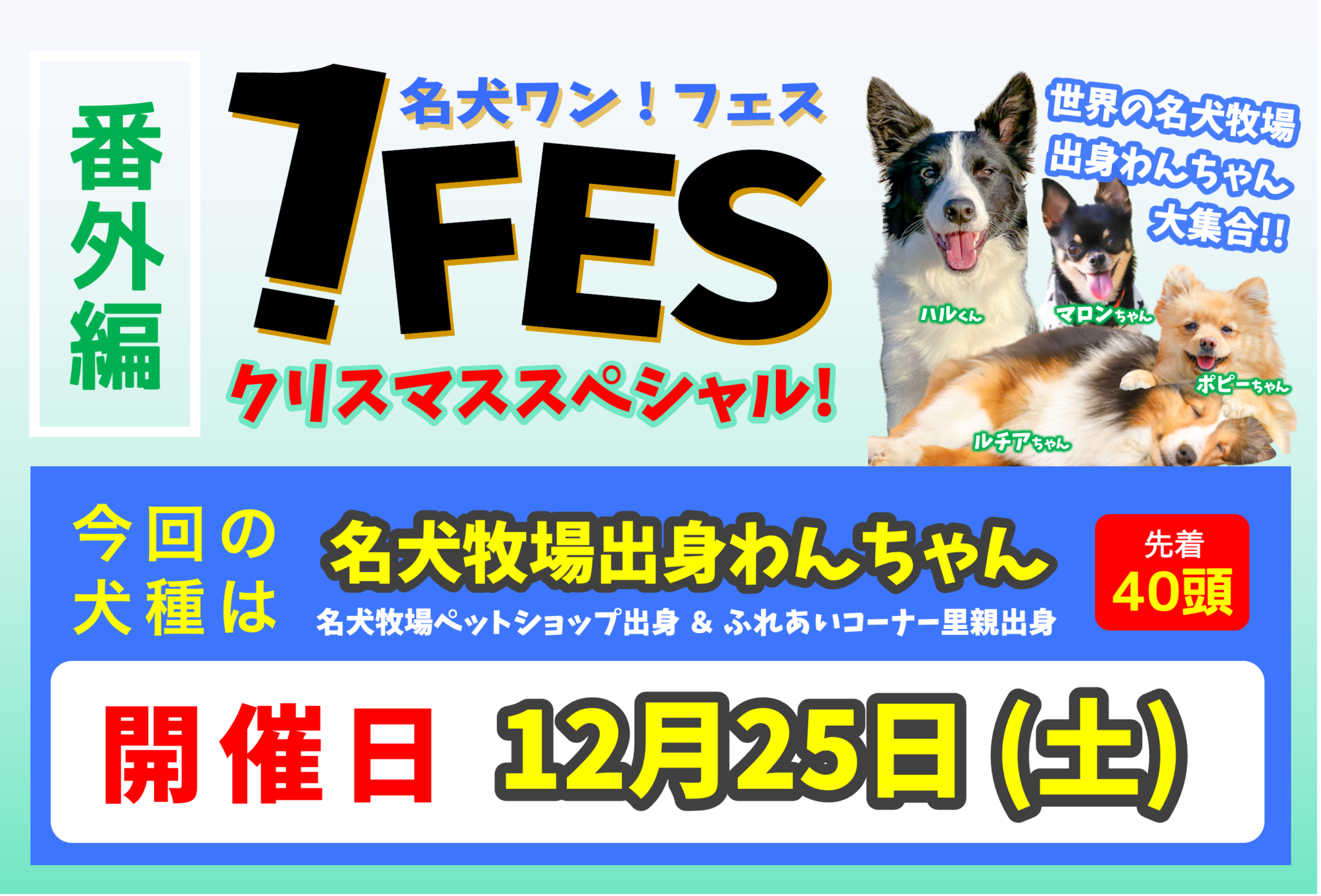 X Mas 名犬出身わんちゃん大集合 ワンフェス番外編 世界の名犬牧場