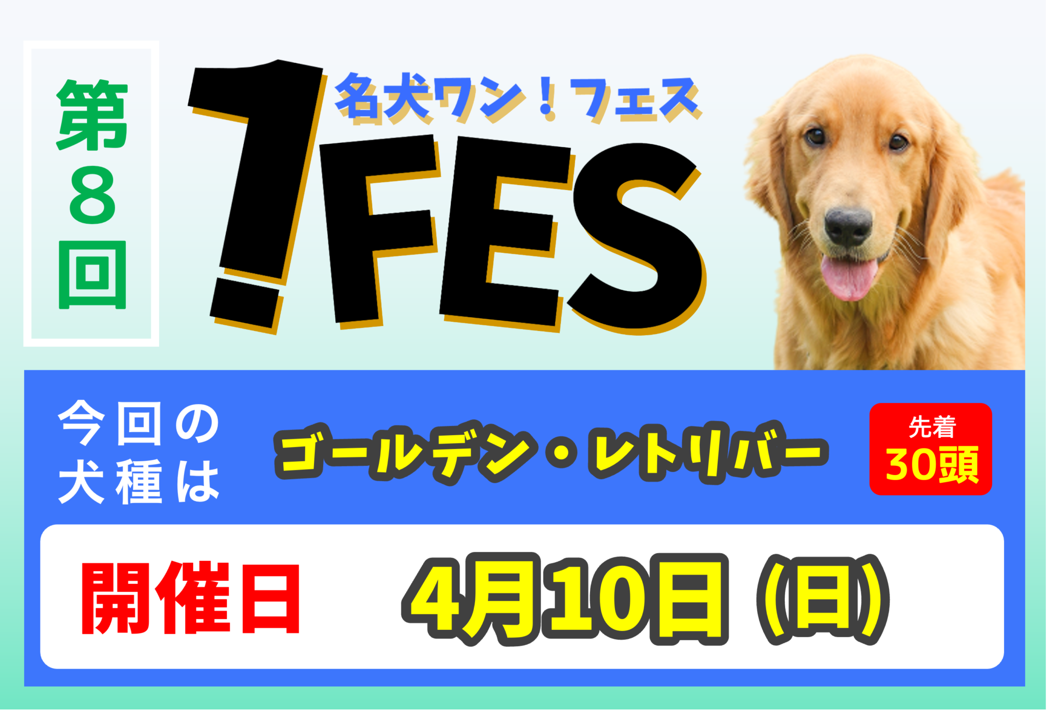 ワンフェス ゴールデン レトリバー 8 世界の名犬牧場