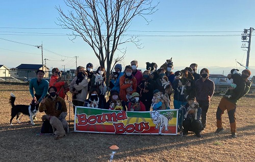 Bob犬種別選手権 世界の名犬牧場