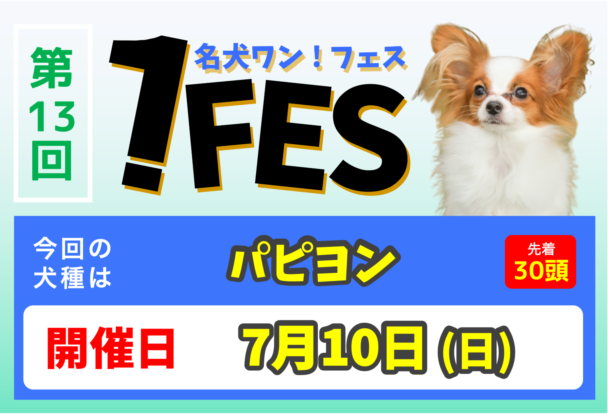 ワンフェス パピヨン 13 世界の名犬牧場 ワンフェス パピヨン 13 世界の名犬牧場