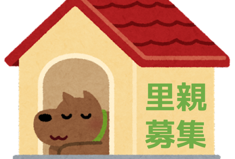 里親情報更新♫