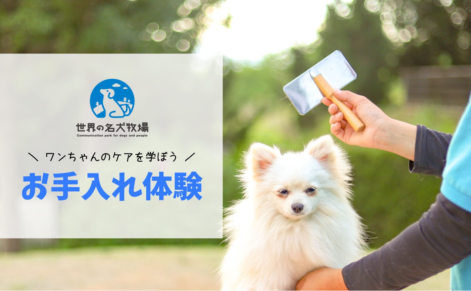 本日のイベント変更のお知らせ