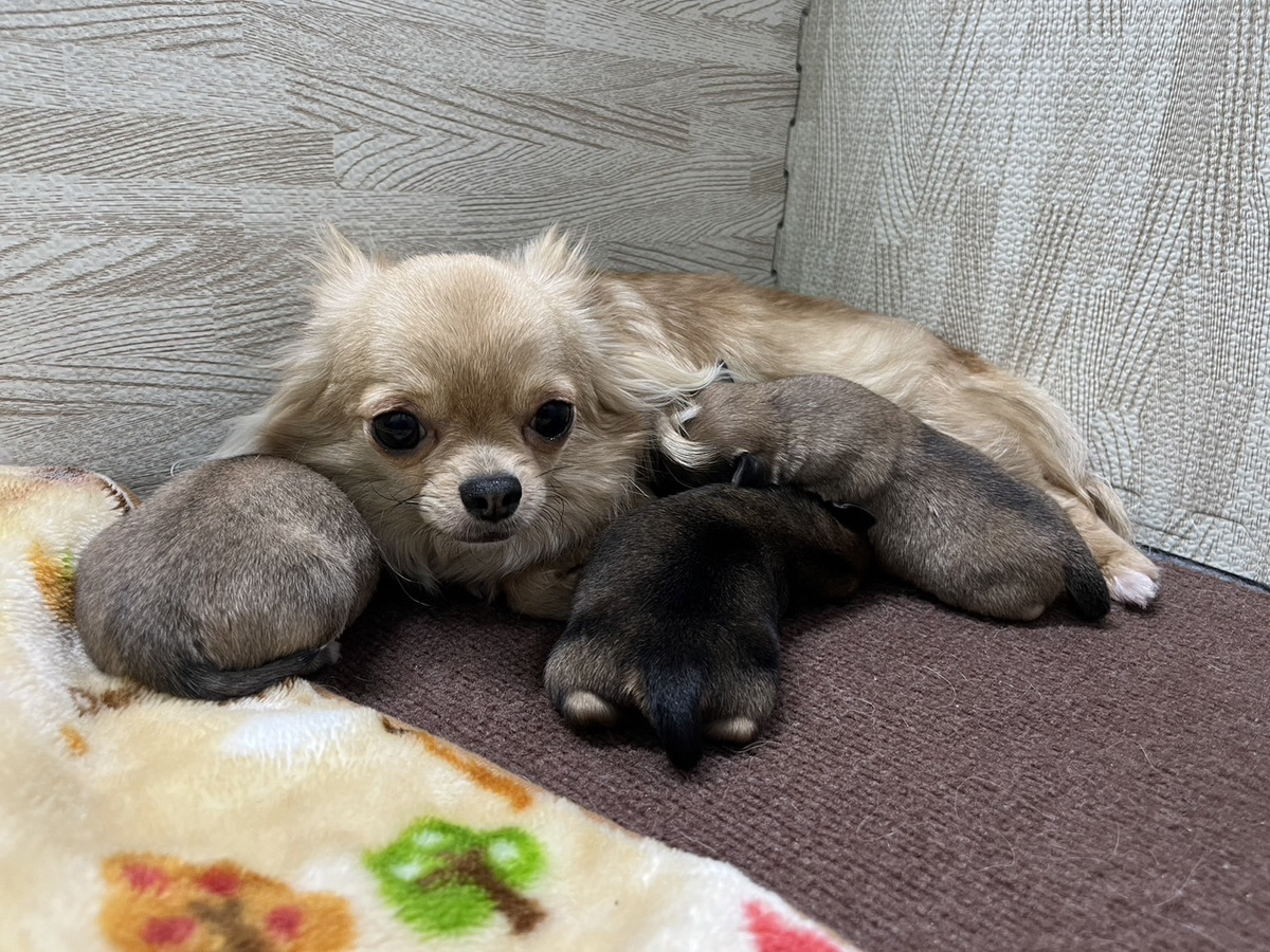 ましろの子育てルーム通信❤