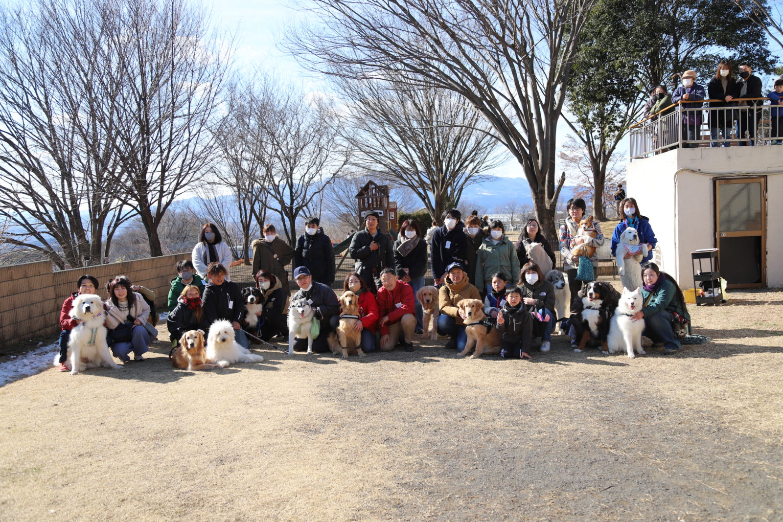 ワンフェス#26【20Kg以上の大型犬大集合】