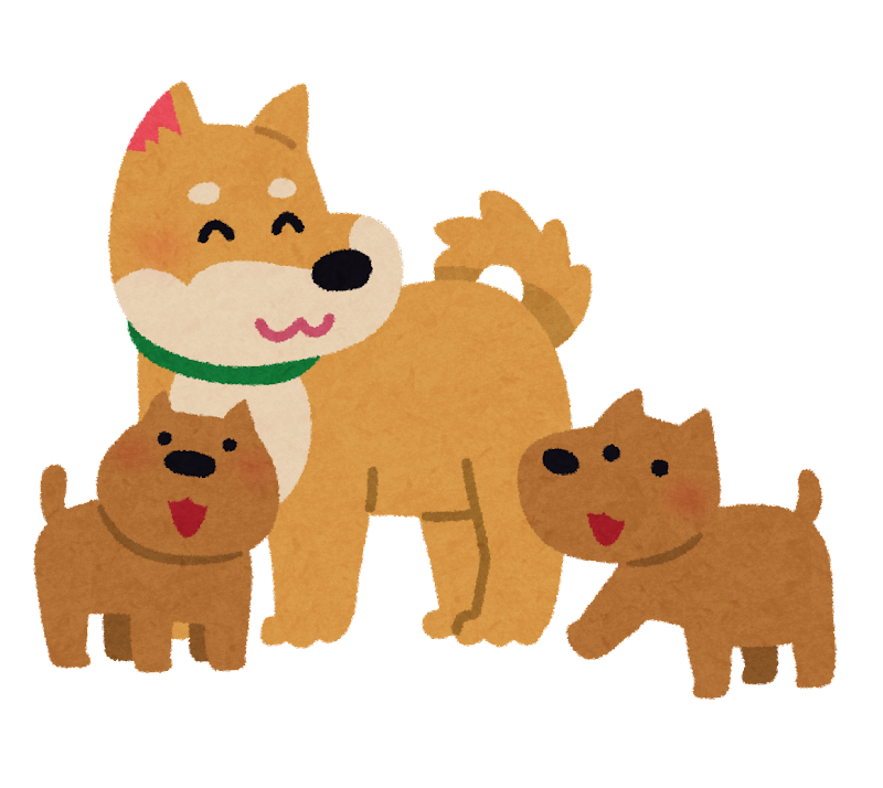 3月の出産予定☆★☆