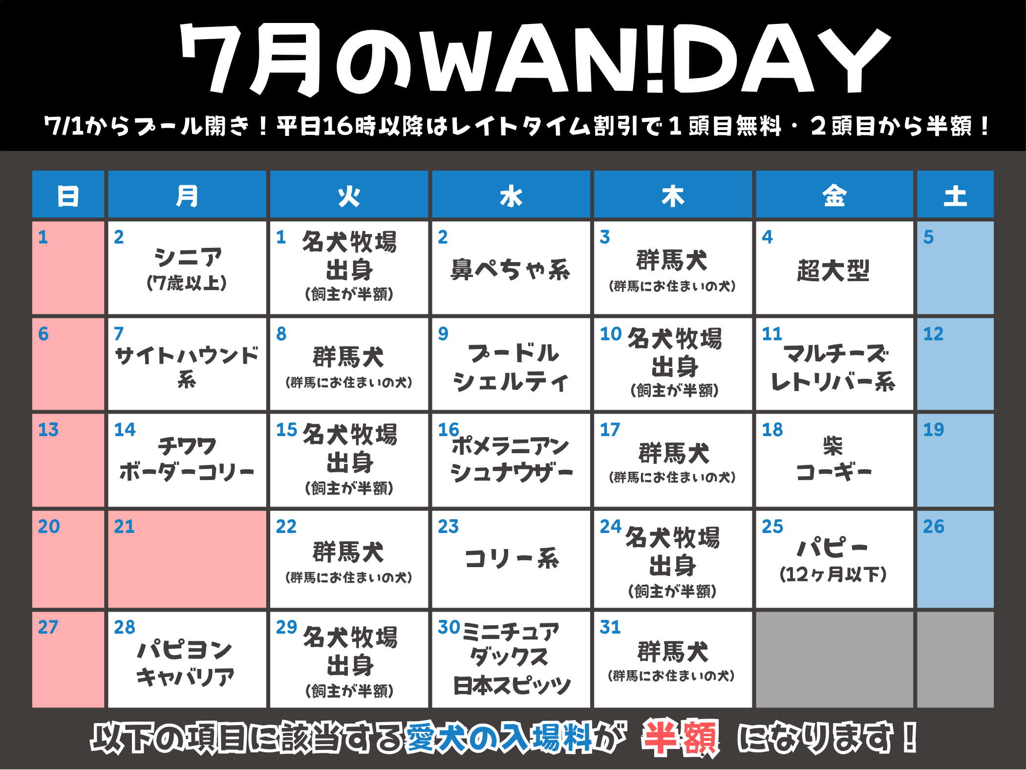 08月のWAN!DAY