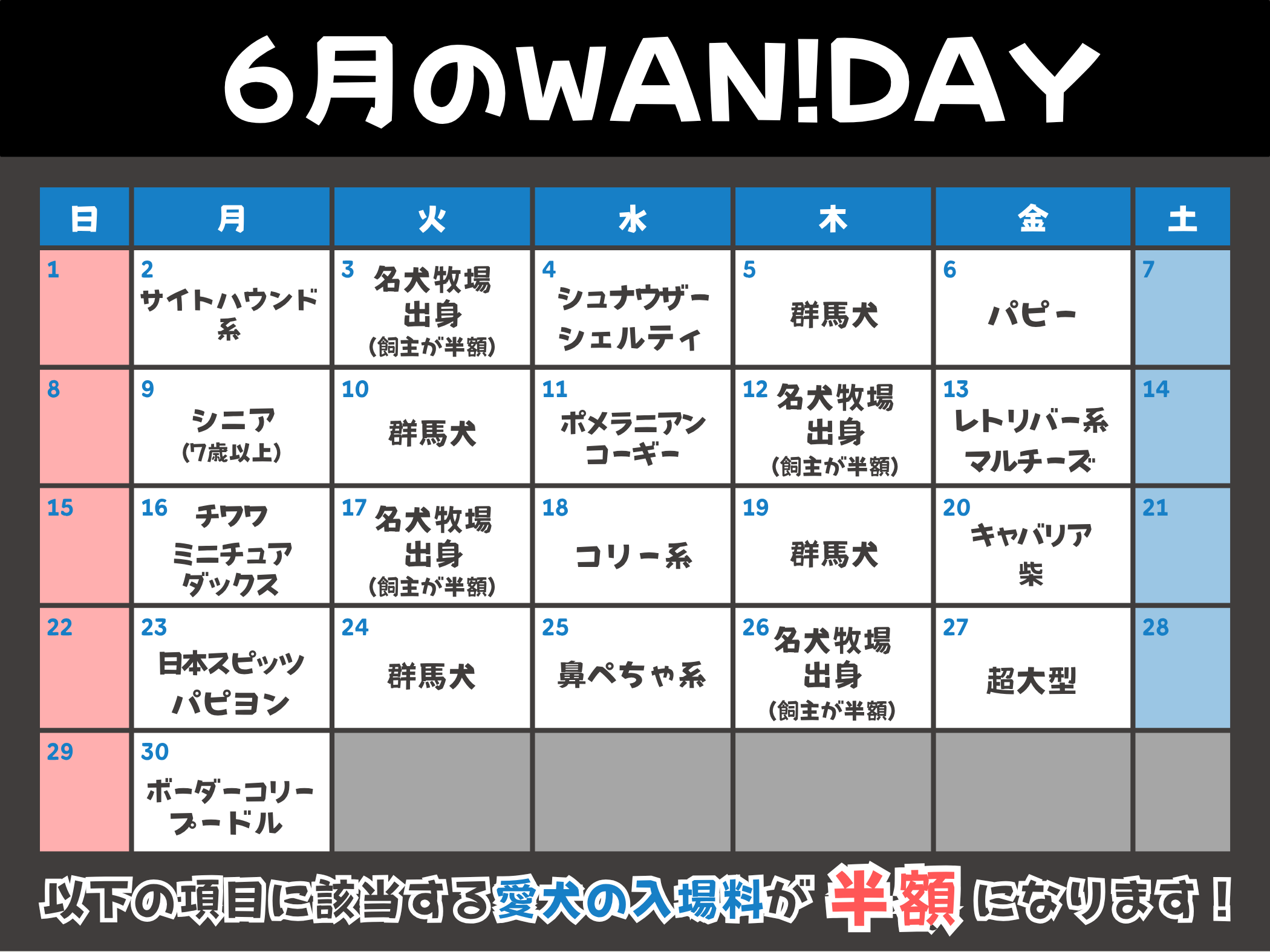 06月のWAN!DAY