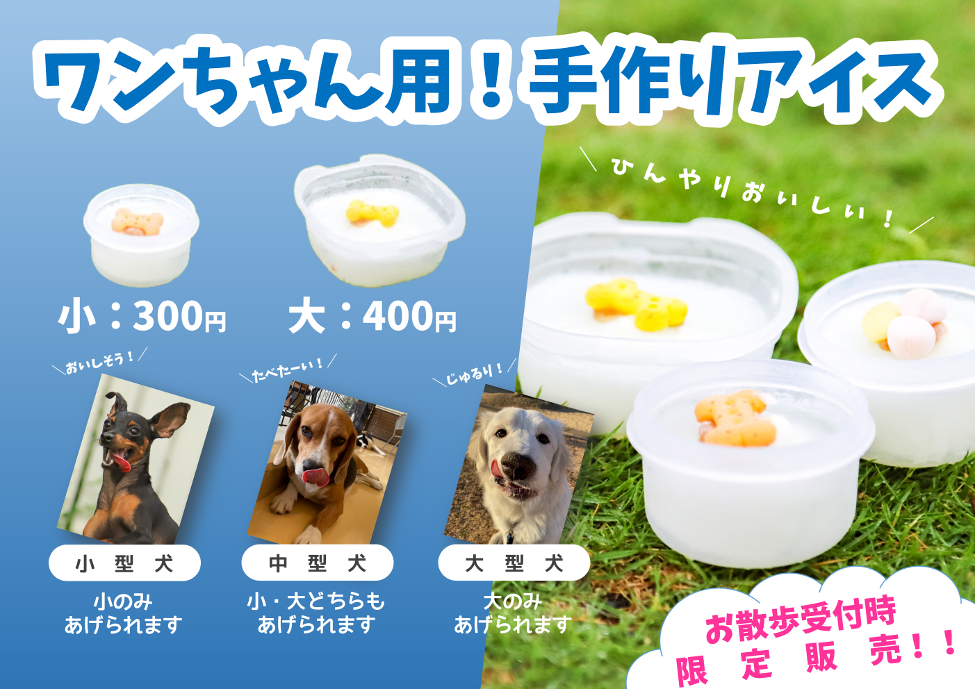 🌻夏季のふれあいコーナーについてのお知らせ🍉