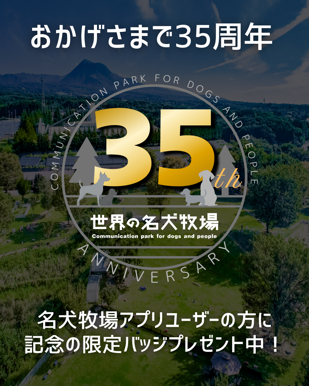 35周年記念！限定バッジプレゼントキャンペーン♪