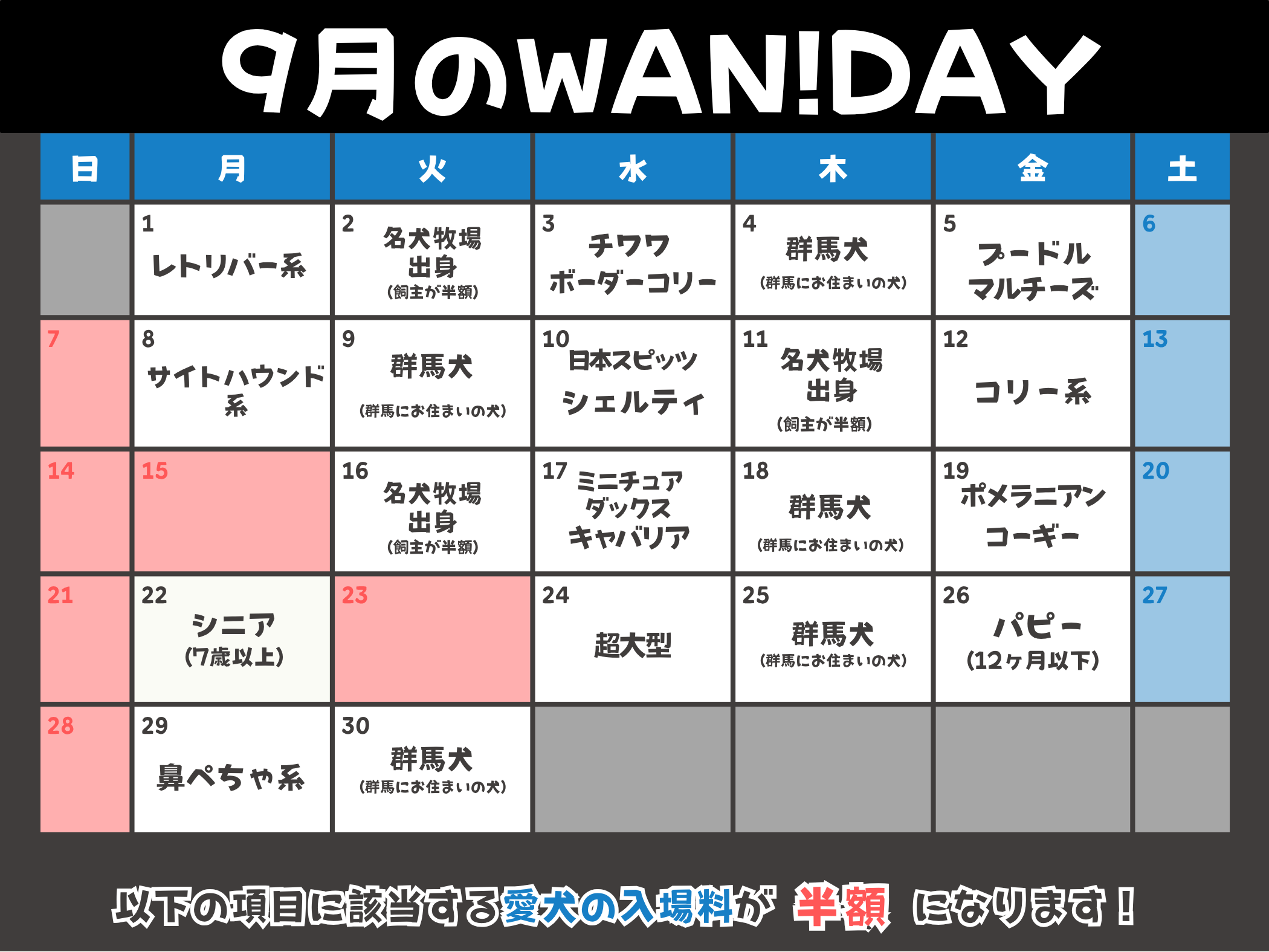 09月のWAN!DAY