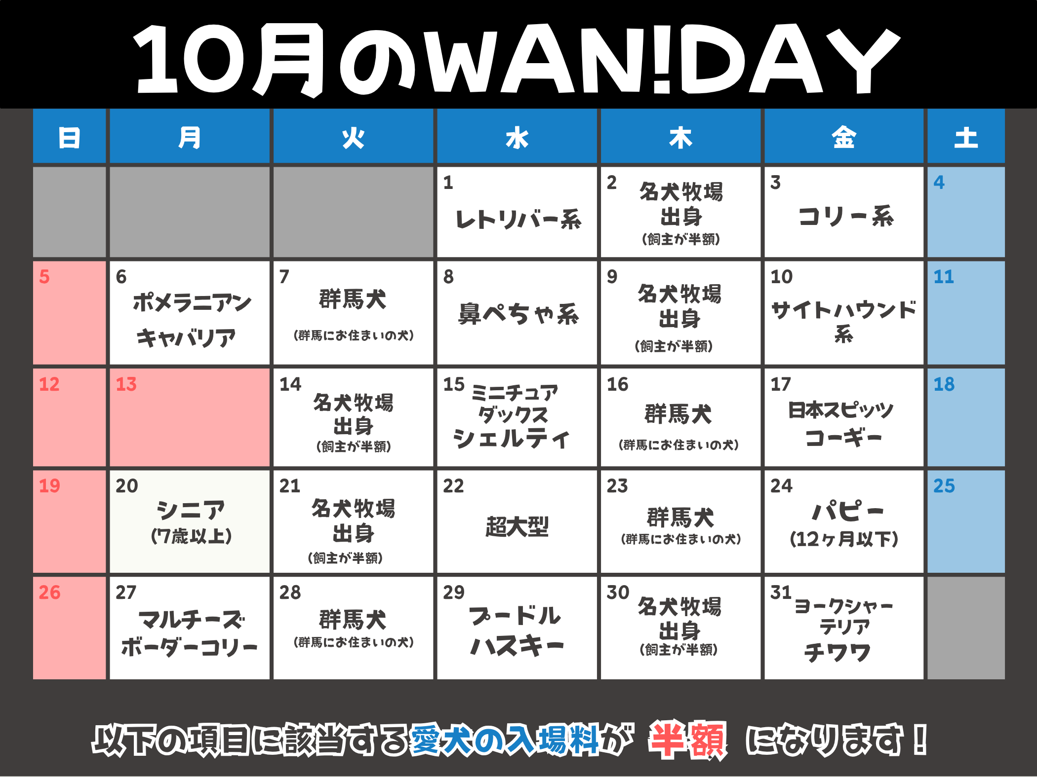 09月のWAN!DAY
