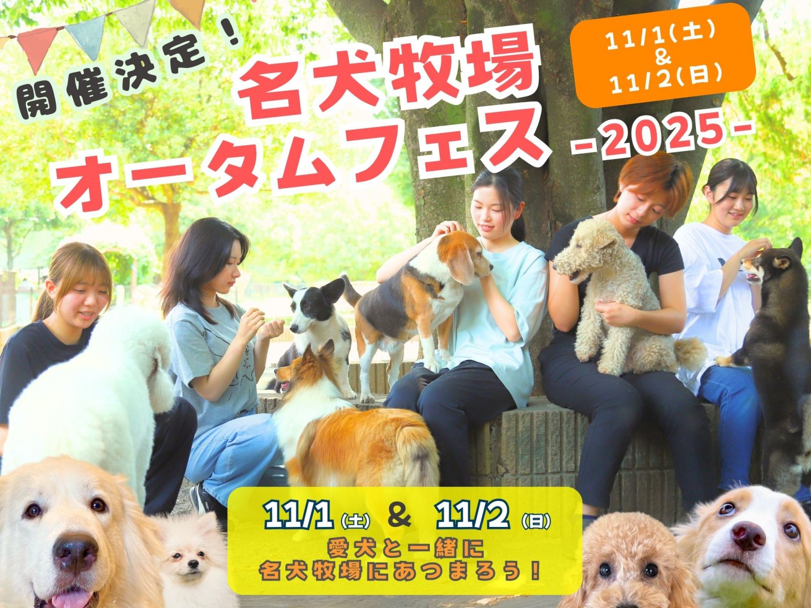 名犬牧場オータムフェス出店者募集のお知らせ