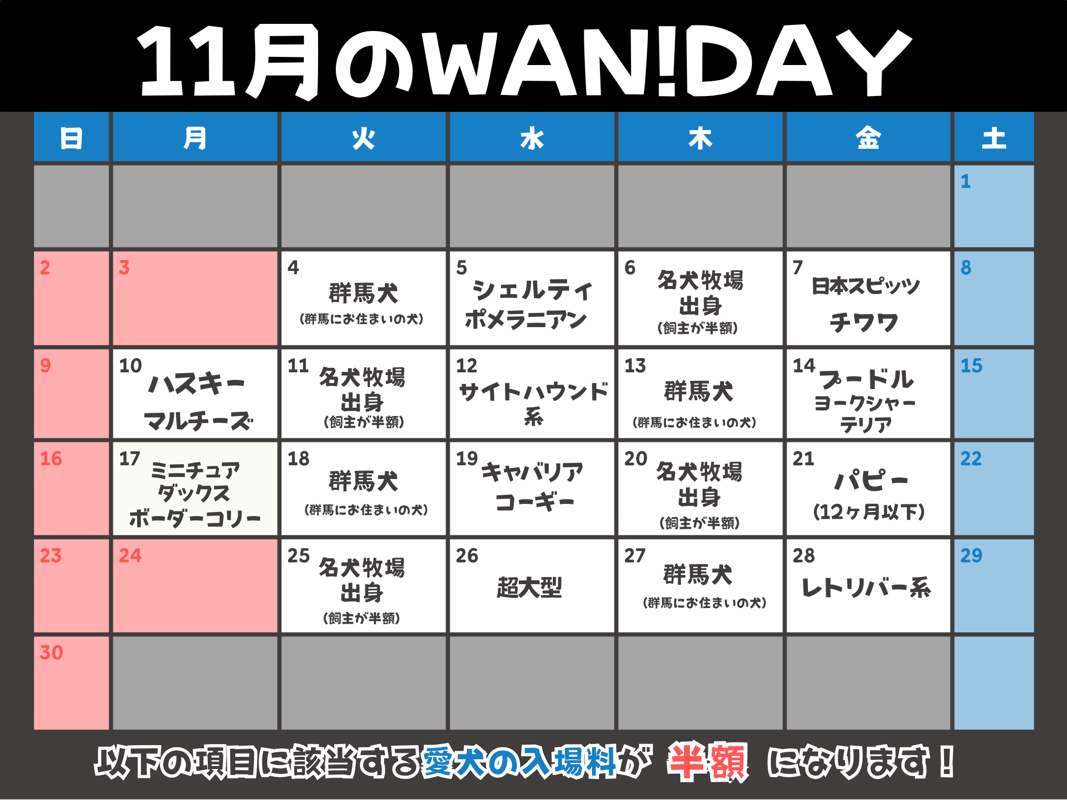 11月のWAN!DAY