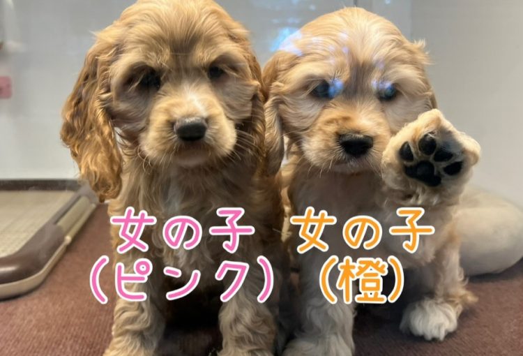 むぅの子育て通信❤⑥R7.10.14