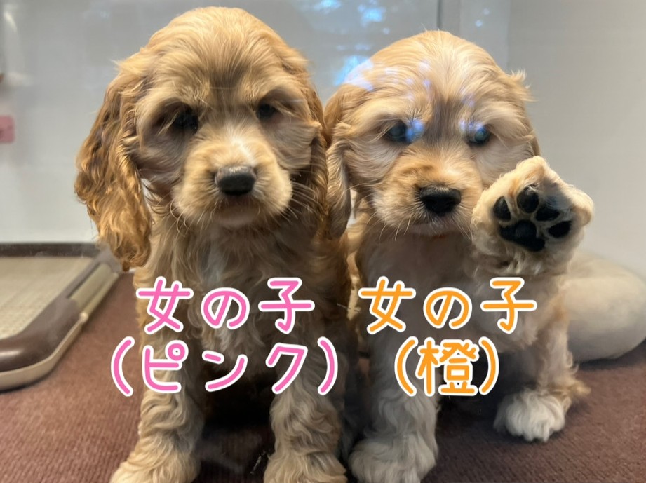 むぅの子育て通信❤⑥R7.10.14