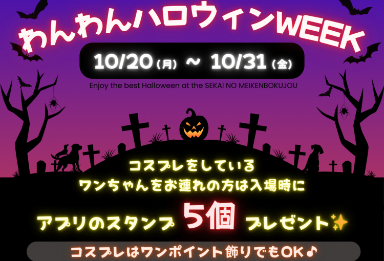 明日10月20日よりわんわんハロウィンウィーク開始♪
