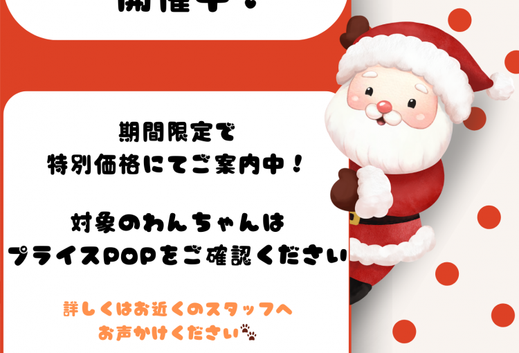 ペットショップからイベントのお知らせ☆★☆