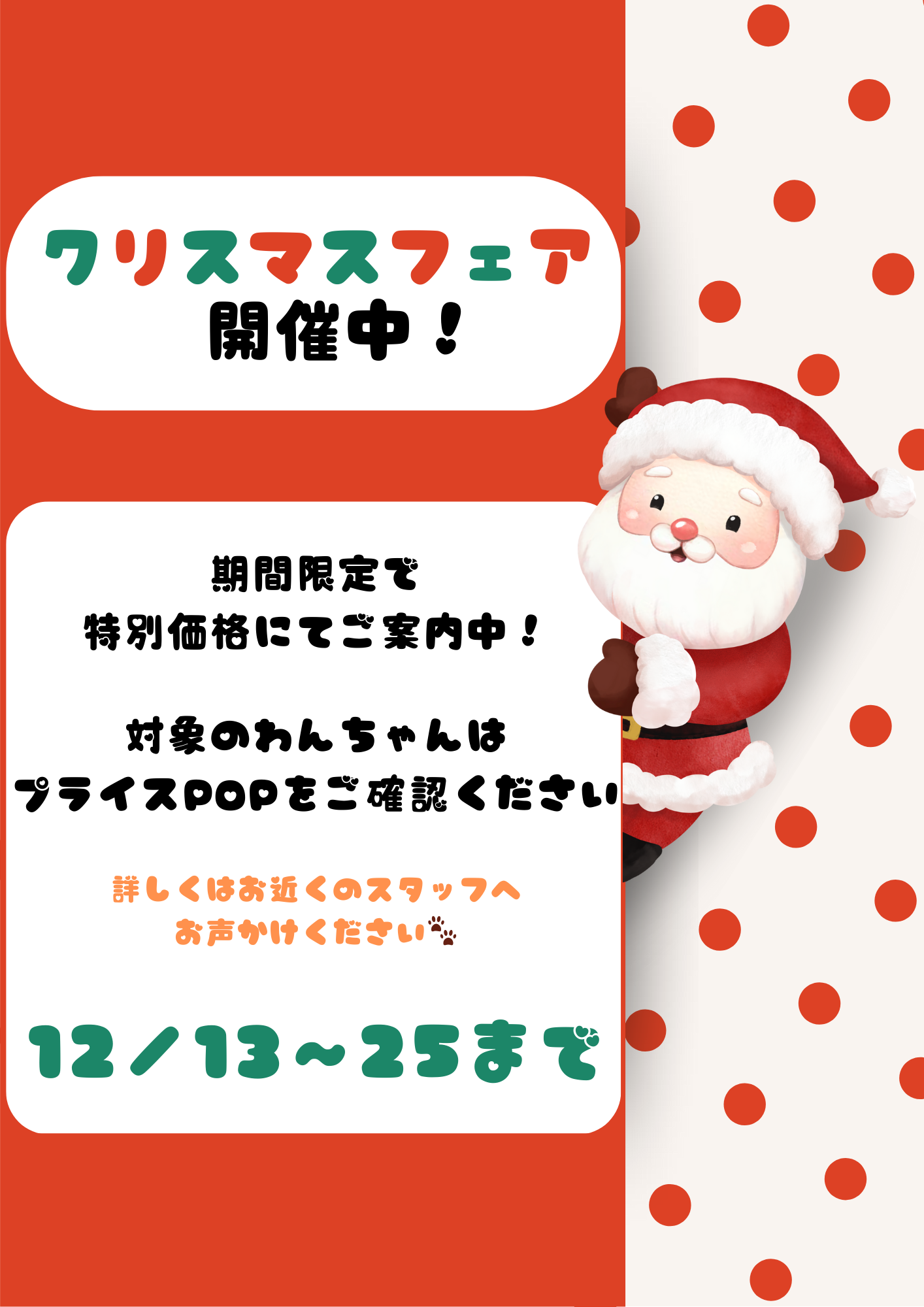 ペットショップからイベントのお知らせ☆★☆