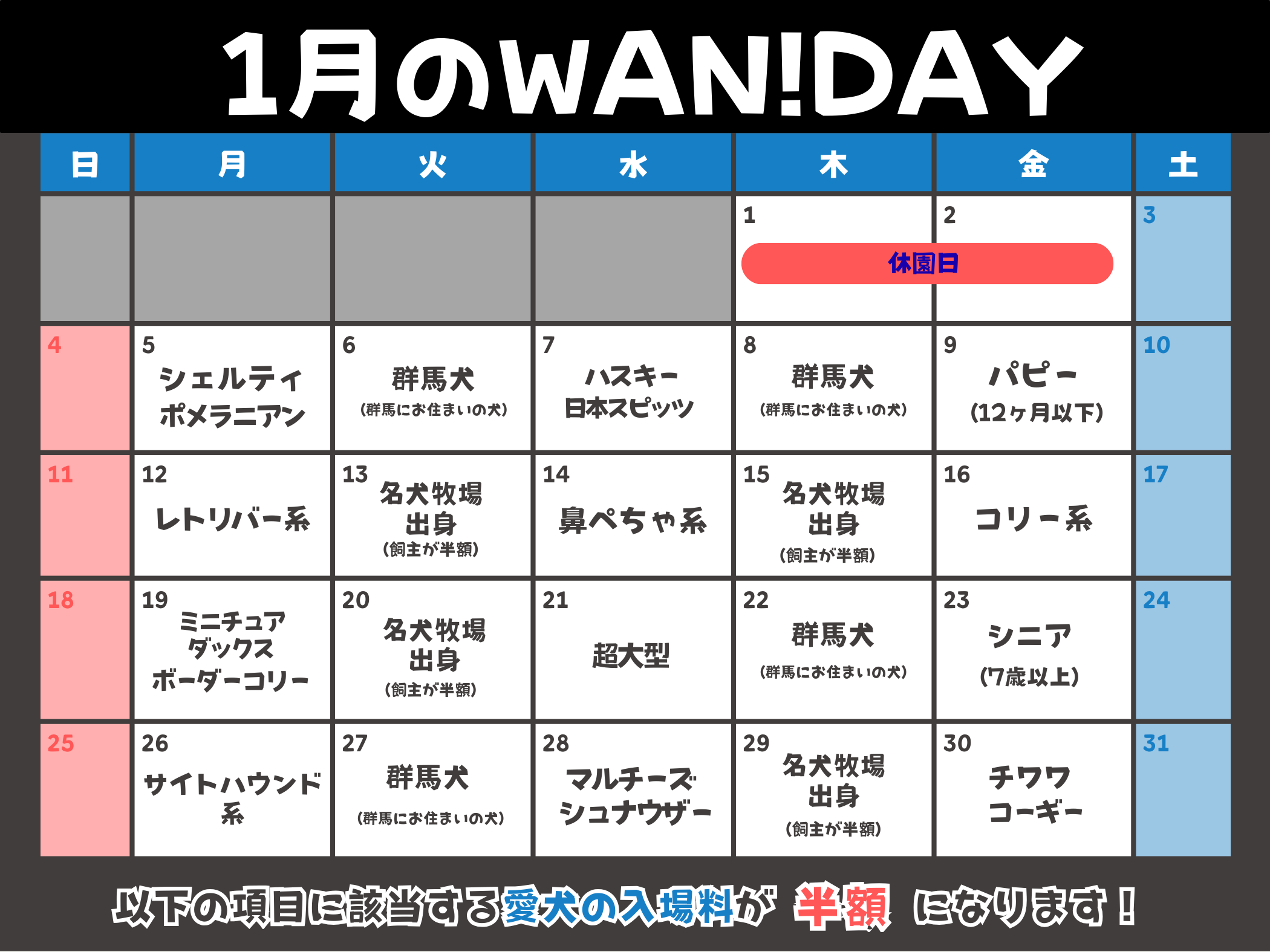 01月のWAN!DAY