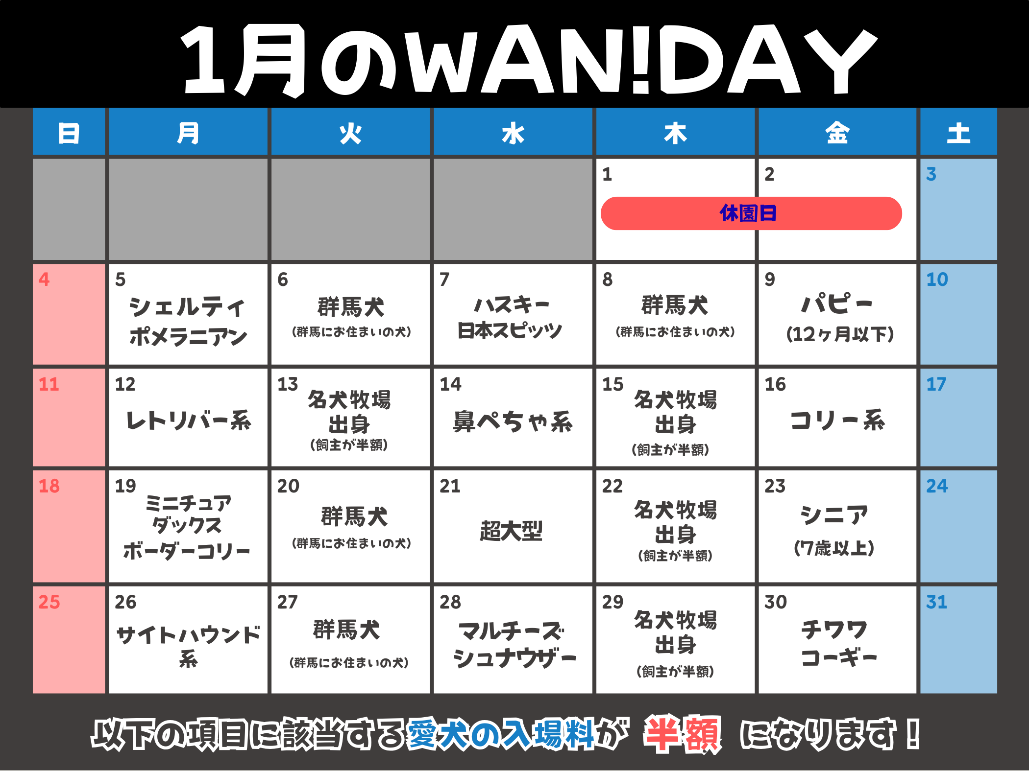 01月のWAN!DAY