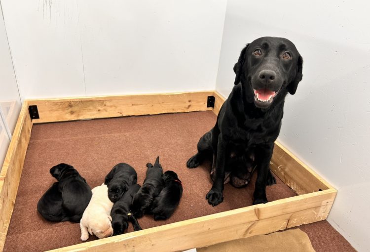 えごまの子育てルーム通信❤R7.12.28