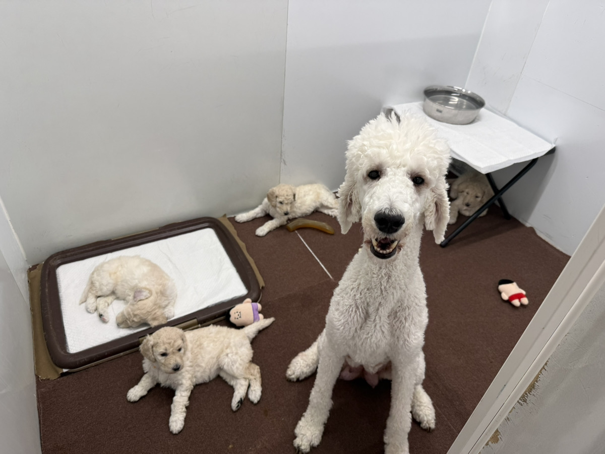 バニラの子育てルーム通信❤③R7.12.09