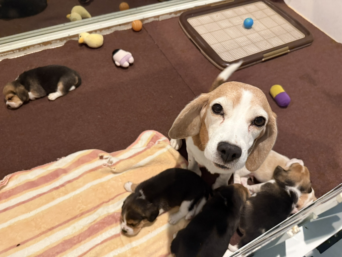 みたらしの子育てルーム通信❤③R7.12.13