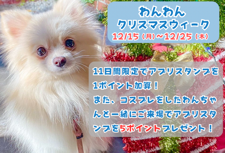 明日12月15日よりわんわんクリスマスウィーク開始♪