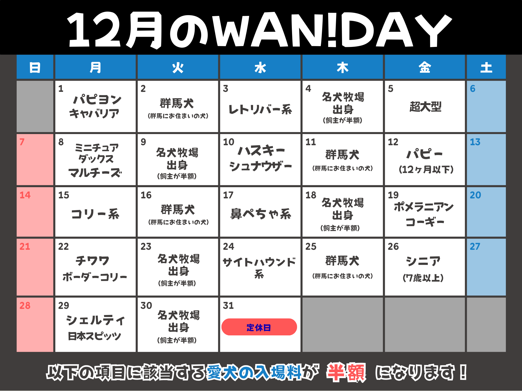 12月のWAN!DAY