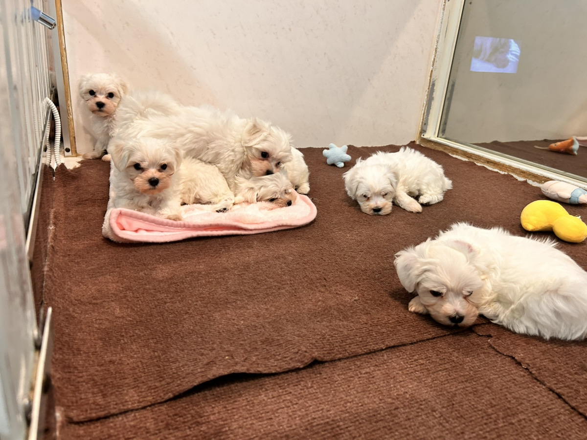 エルサの子育てルーム通信❤④R8.1.23