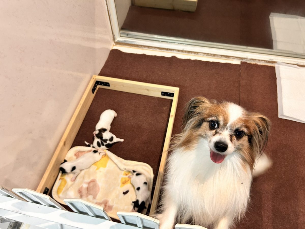 ハープの子育てルーム通信❤R8.1.3