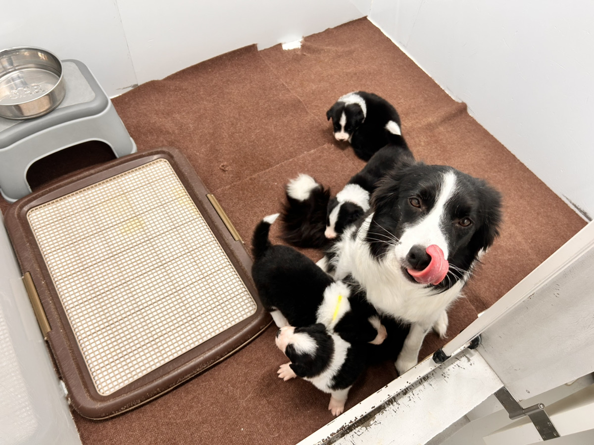 ライヤの子育てルーム通信❤②R8.1.3