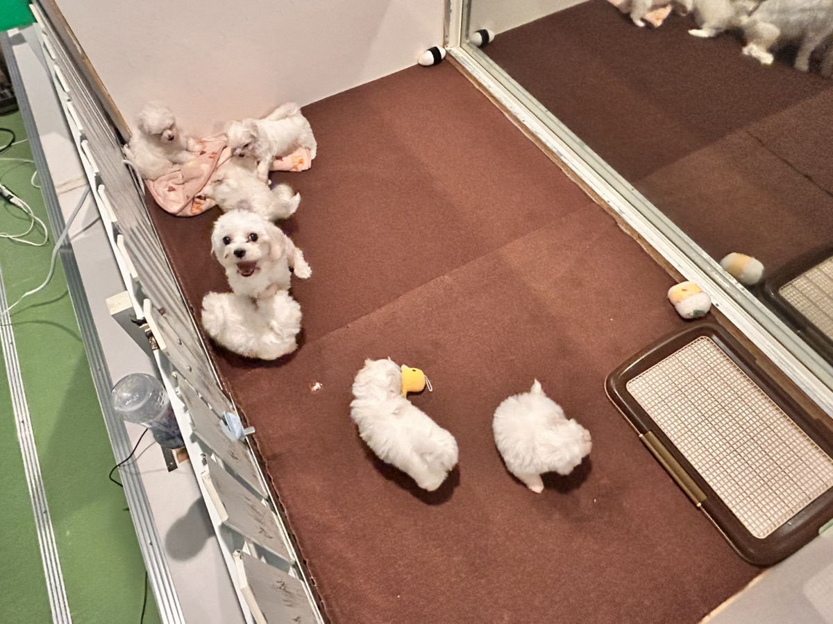 エルサの子育てルーム通信❤③R8.1.17