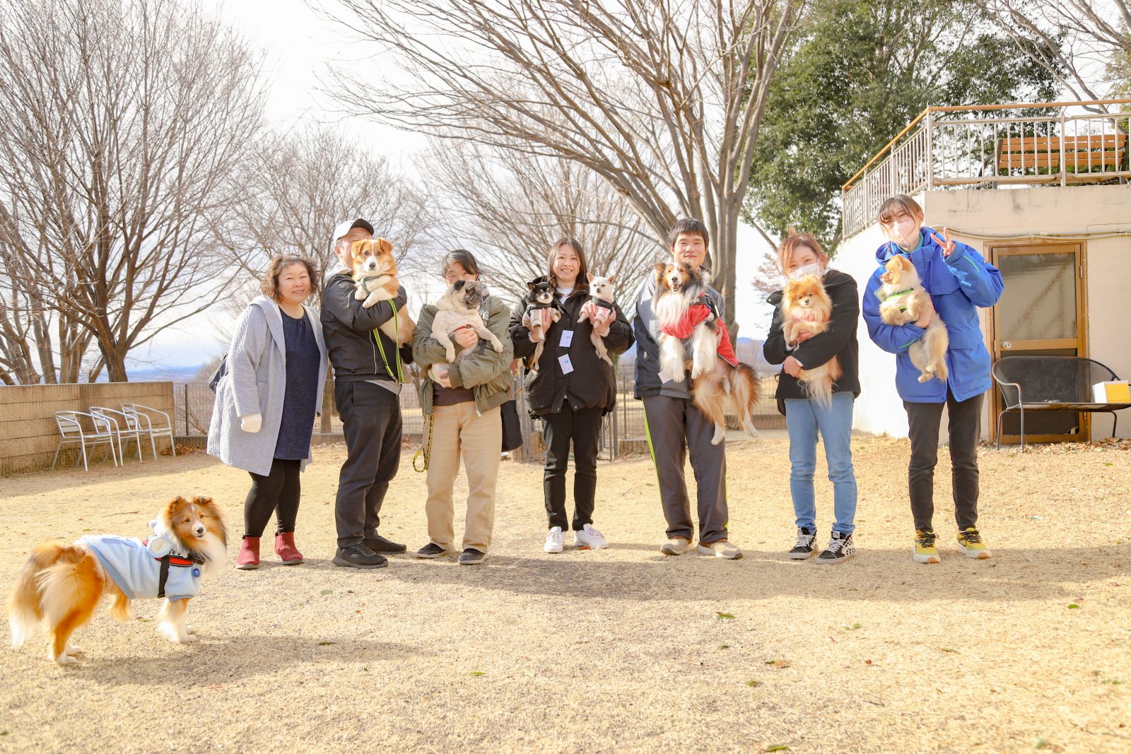 ワンフェス#46【お正月スペシャル名犬牧場出身ワンちゃん編】