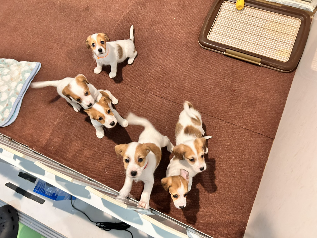 アルカネットのこそだtルーム通信❤⑤R8.1.30