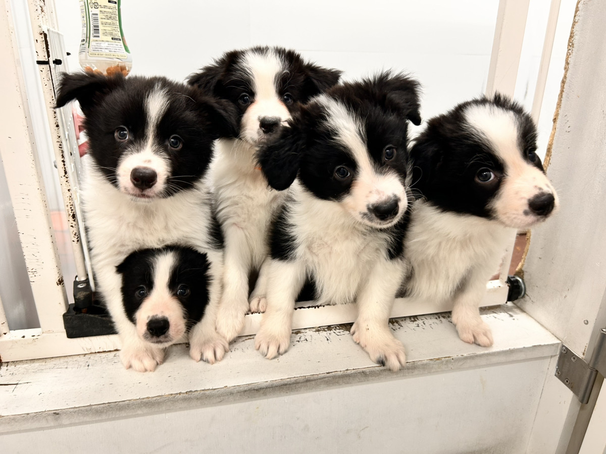 ライヤの子育てルーム通信❤⑤R8.1.30