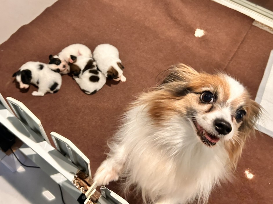 ハープの子育てルーム通信❤②R8.1.15