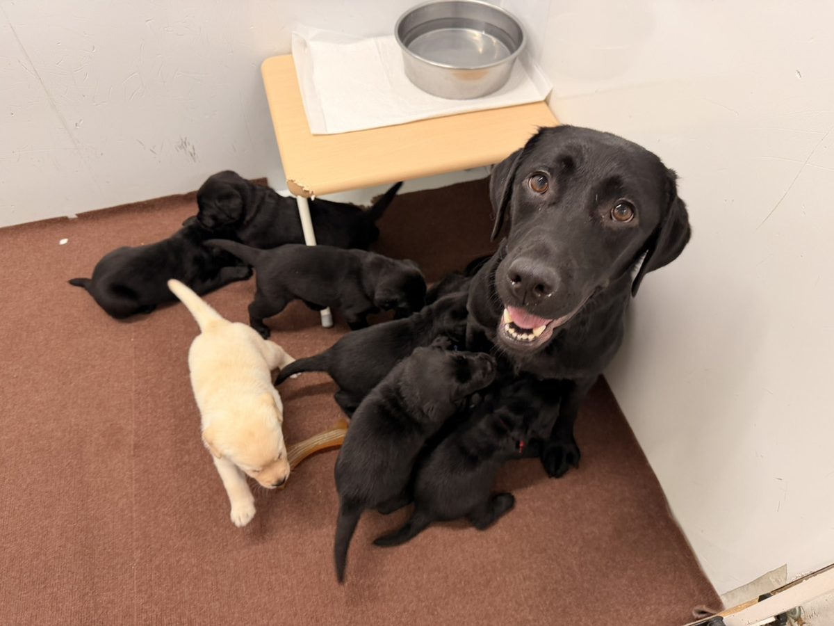 えごまの子育てルーム通信❤③R8.1.19