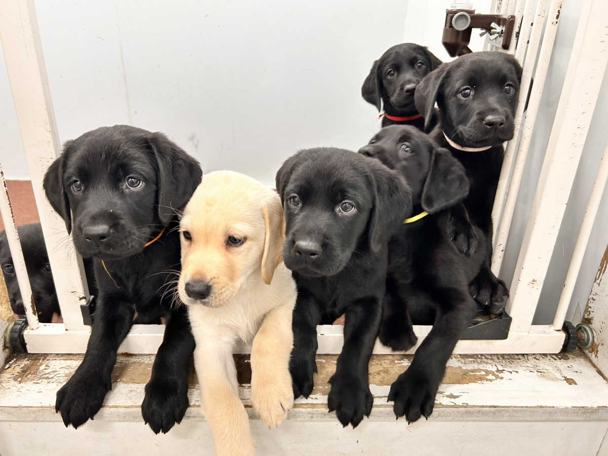 えごまの子育てルーム通信❤⑤R8.2.10