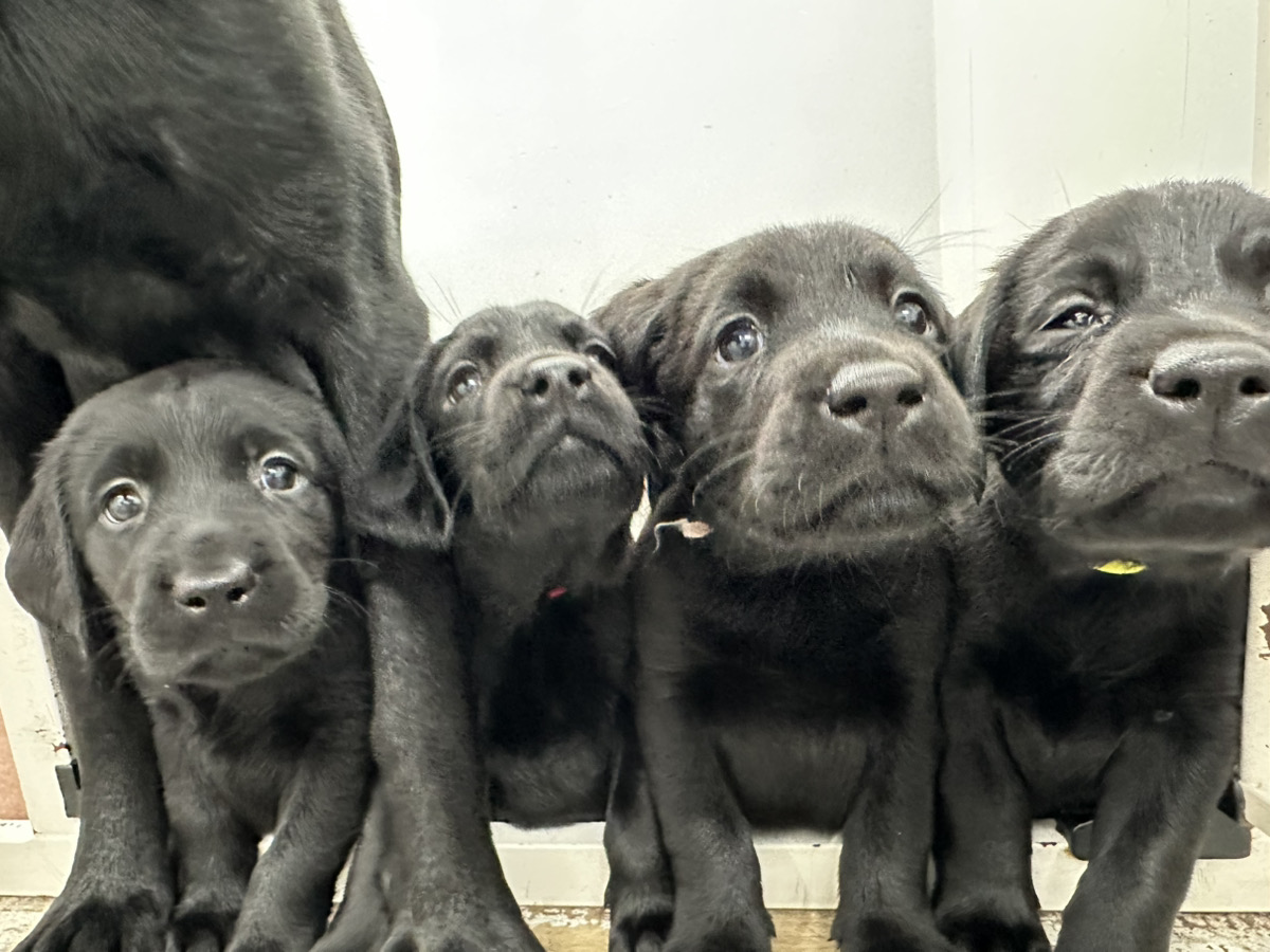 えごまの子育てルーム通信❤④R8.2.1