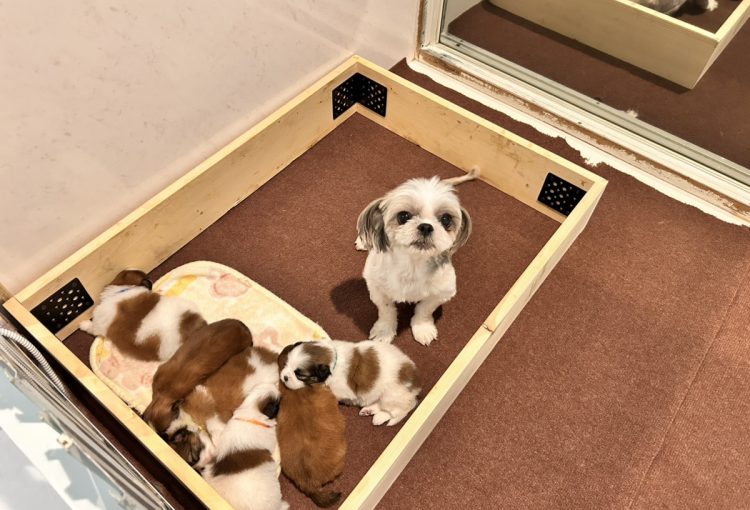 れいの子育てルーム通信❤②R8.2.16