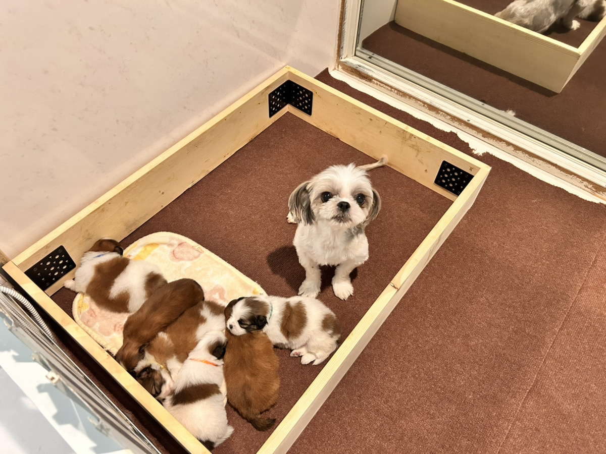 れいの子育てルーム通信❤②R8.2.16