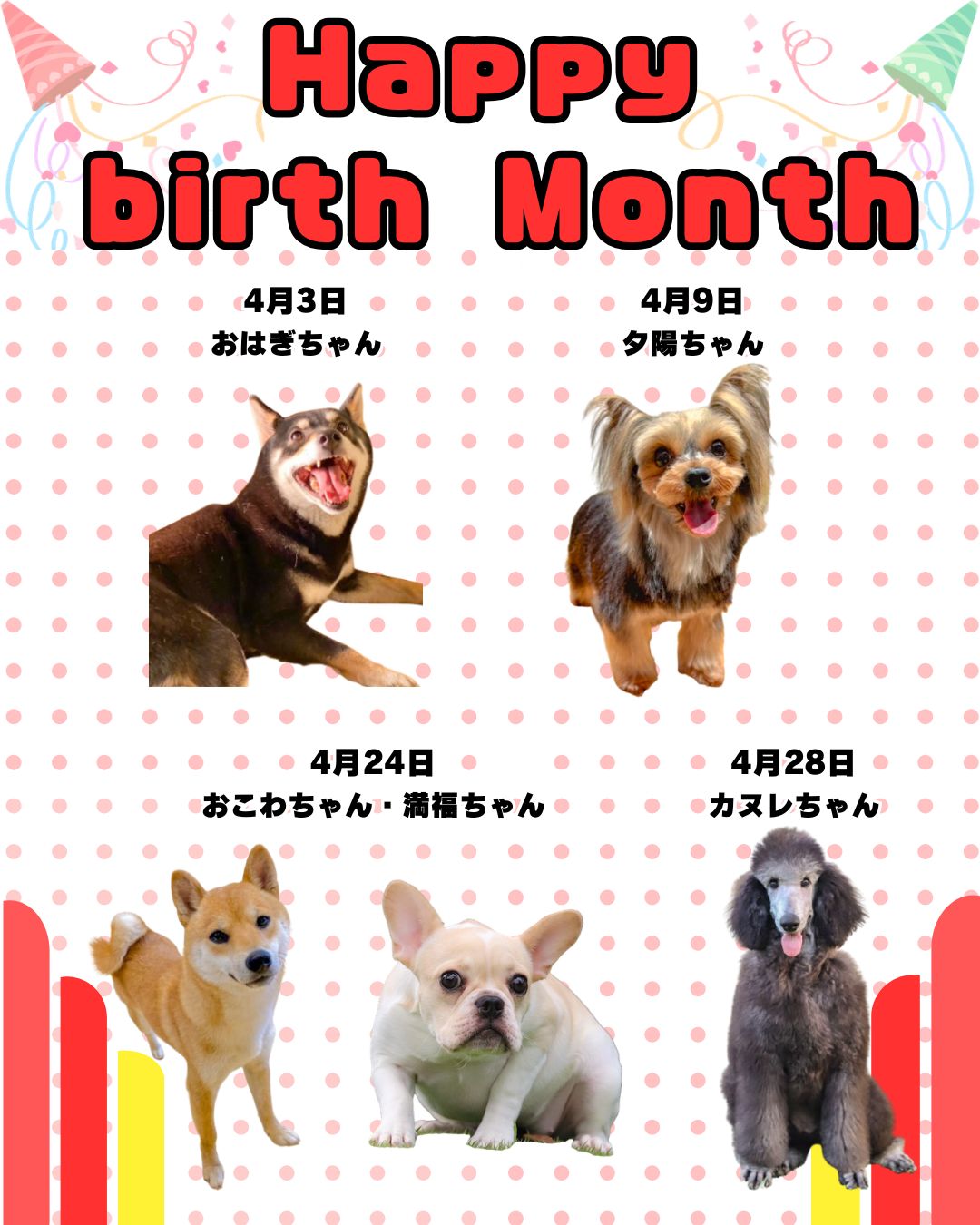 🎂🐾4月お誕生日のふれあい犬たち🐾🎂