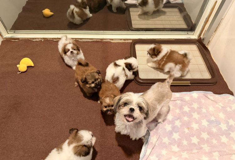 れいの子育てルーム通信❤⑤R8.3.16