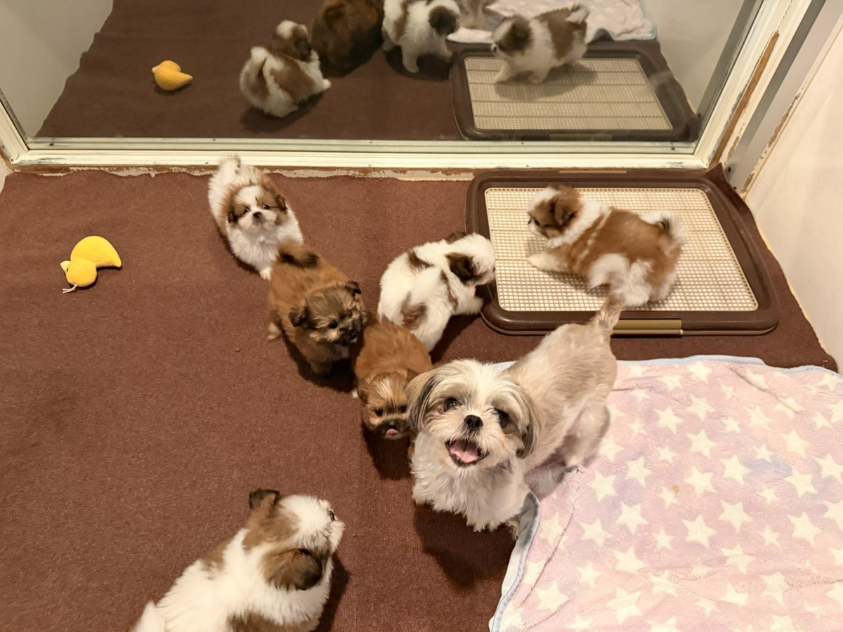 れいの子育てルーム通信❤⑤R8.3.16