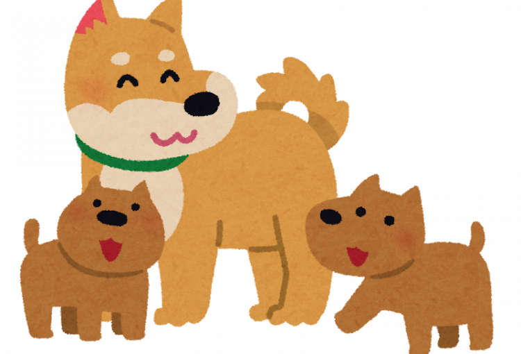 4月の出産予定★★