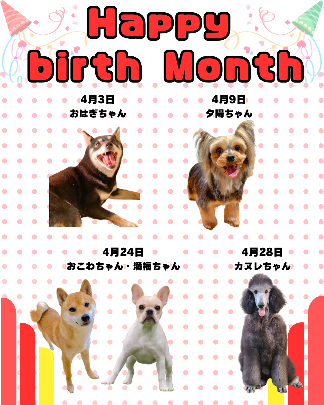 🎂🐾4月お誕生日のふれあい犬たち🐾🎂