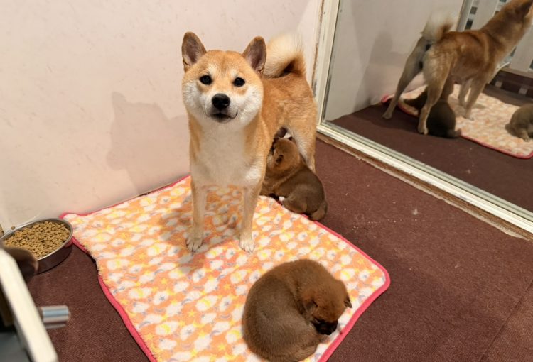 おこわの子育てルーム通信❤②R8.4.21