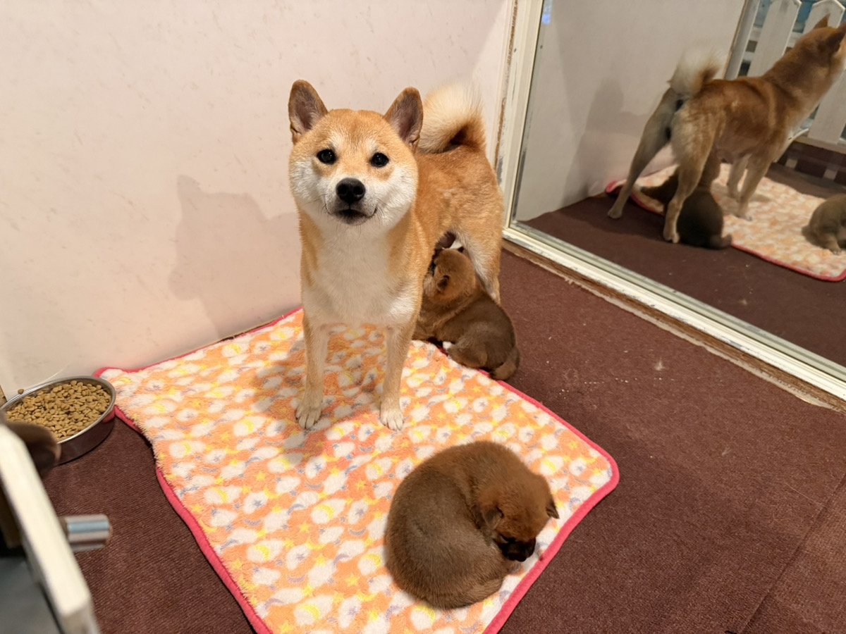 おこわの子育てルーム通信❤②R8.4.21